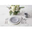 Fortessa Amanda 10.8 Dinner Plate-1829594660