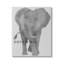 «Dream Big Elephant cmw-021», art mural personnalisé-1900452837-1900433613-1900433615