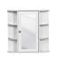 Bathroom Cabinet