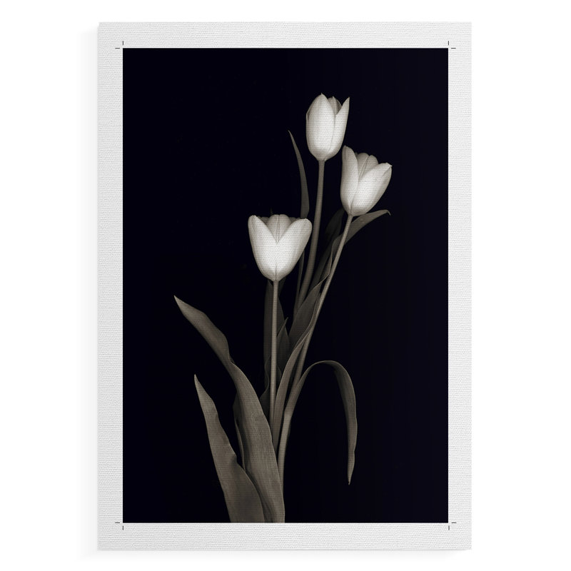 «Tulip Pose I», impression sur toile seulement - non encadrée, H 60 po x l 40 po