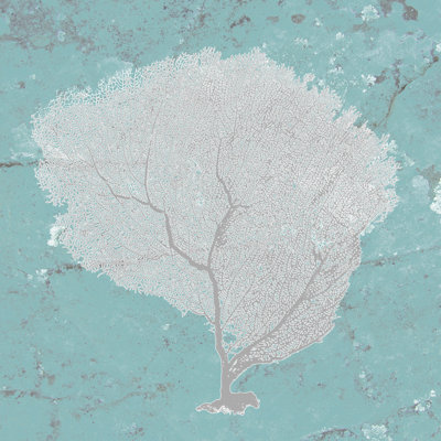 Graphic Sea Fan IX - Wrapped Canvas Print