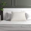 Cody 100% Cotton Envelope Sham-606339819