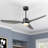 52'' Ceiling Fan with LED Lights-1944578559