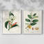 Reproduction encadrée Turpin Tropical Botanicals IX-Premium - prête à être accrochée-1420657868-1420657857