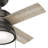 36'' Loki 4 - Blade Standard Ceiling Fan with Pull Chain and Light Kit Included-35992618