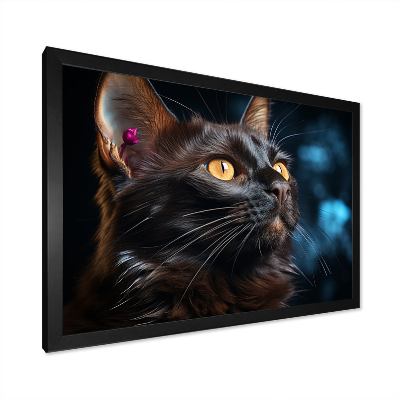 «Burmese Beauty Black Cat», reproduction sur toile, H 12 po x l 20 po x P 1 po, Cadre simple blanc