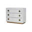 Console Anpu