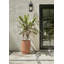 Veradek Demi Series Elevated 16 in. Planter-137412511-137412512
