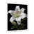 Cadre simple blanc