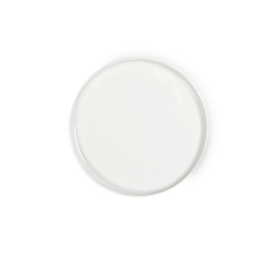 Toulouse Plates