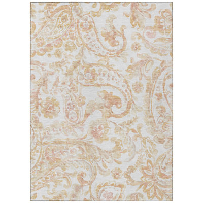 Srija Washable Paisley Indoor / Outdoor Rug