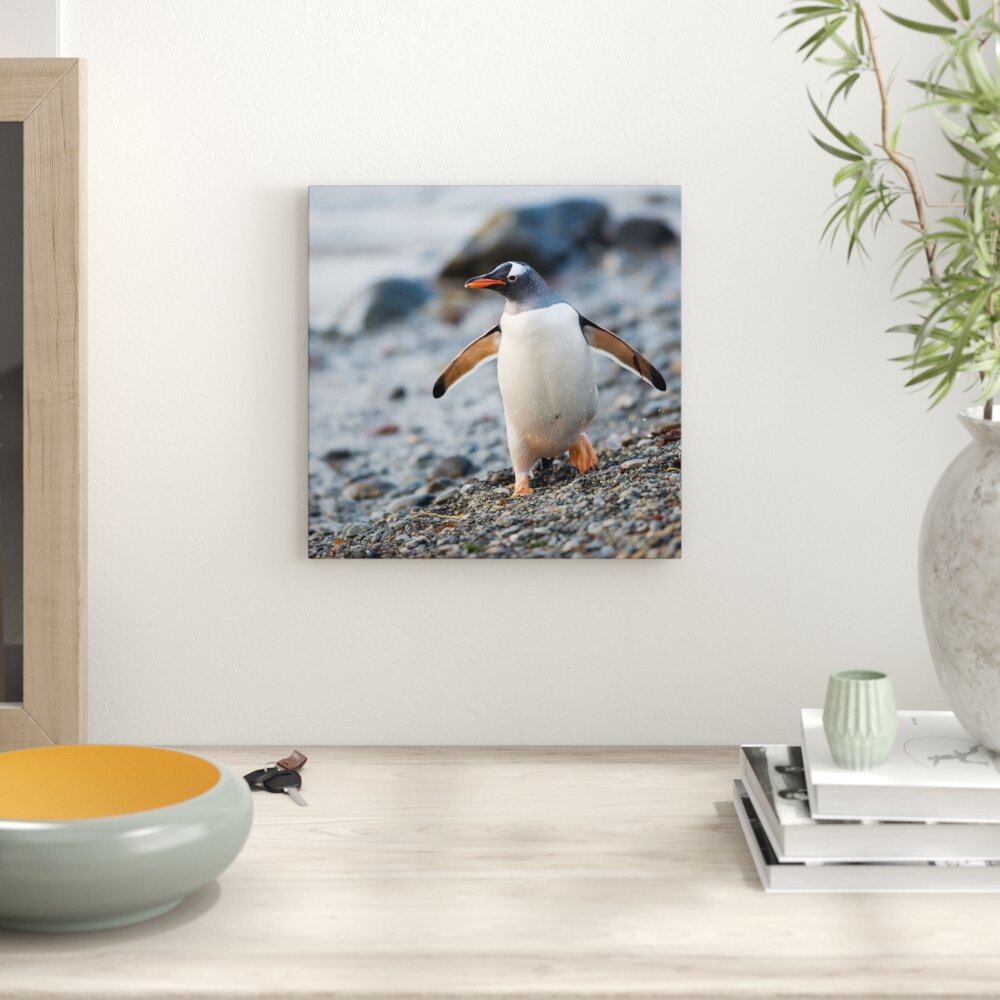 Leinwandbild Pinguine