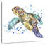 Tortue de mer Armine-109221290
