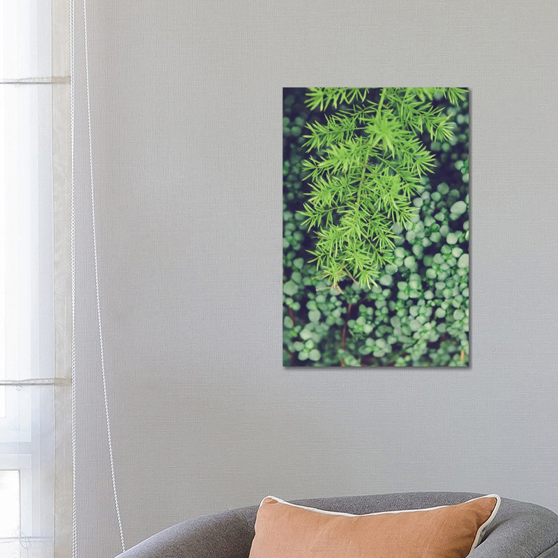 As Is by Olivia Joy StClaire - Wrapped Canvas Gallery-Wrapped Canvas Giclée, 66.04 cm H x 45.72 cm W x 3.175 cm D