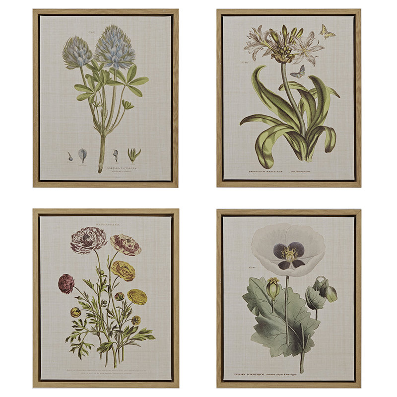 4 Wall Art - Linen Canvas For Home Use Only Decor Botanical Illustrations Rooms