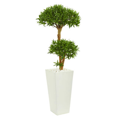 Bonsai Styled Podocarpus Artificial Tree in Planter