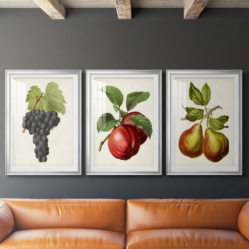 Fruit antique 8 - impression encadrée de qualité supérieure sur mesure mat - 3 pièces, Argent argent, H 19 po x l 45 po