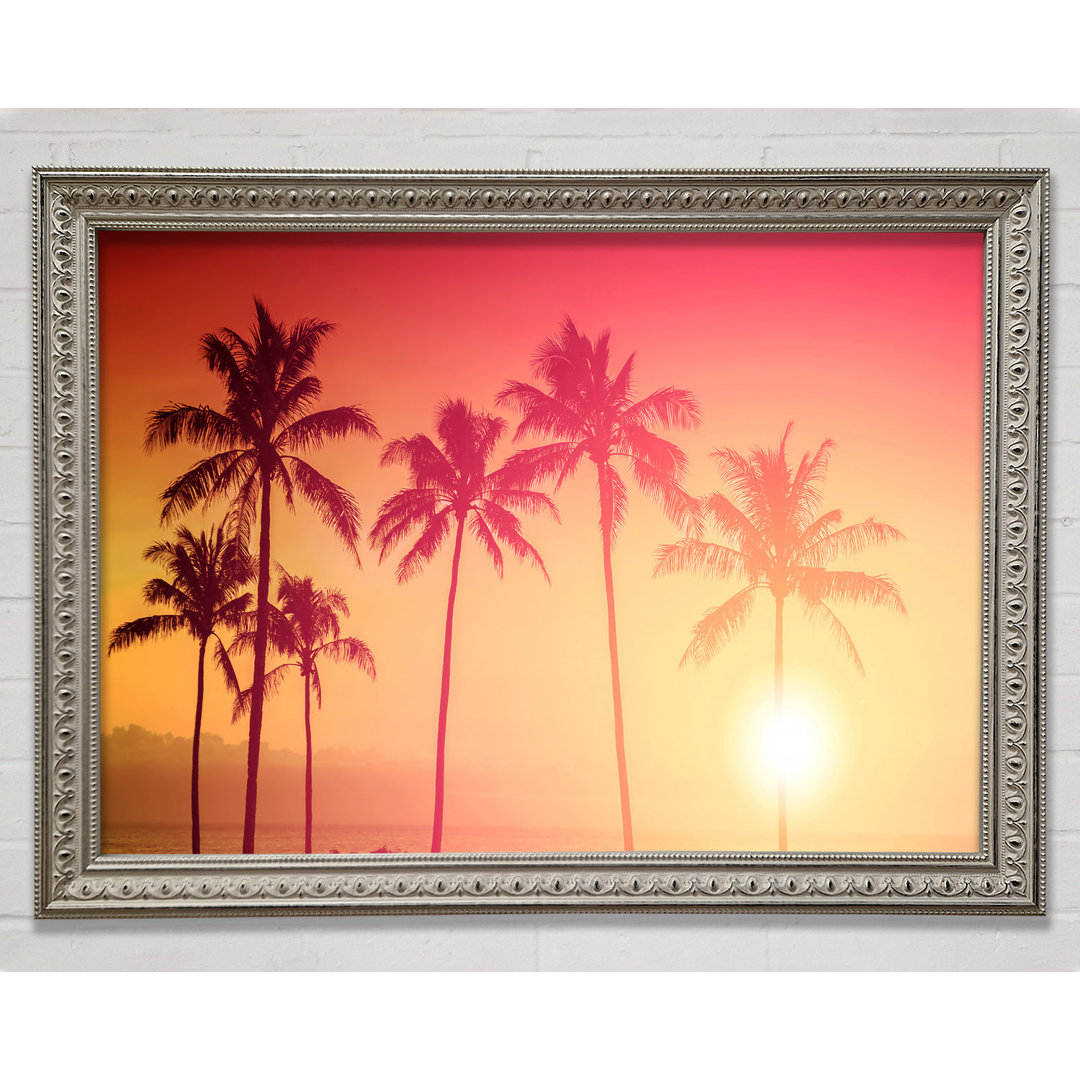 Palm Tree Haze Gerahmter Druck