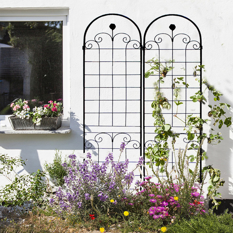 Treillis de jardin en métal antirouille pour plantes grimpantes