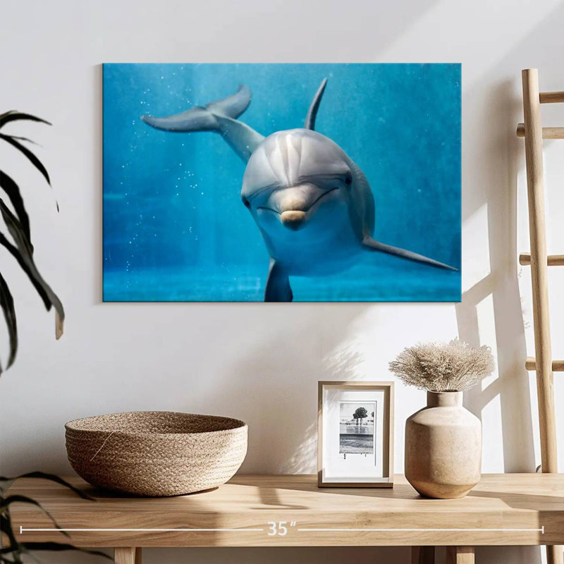 Brampt Friendly Dolphin, 16" H x 24" W