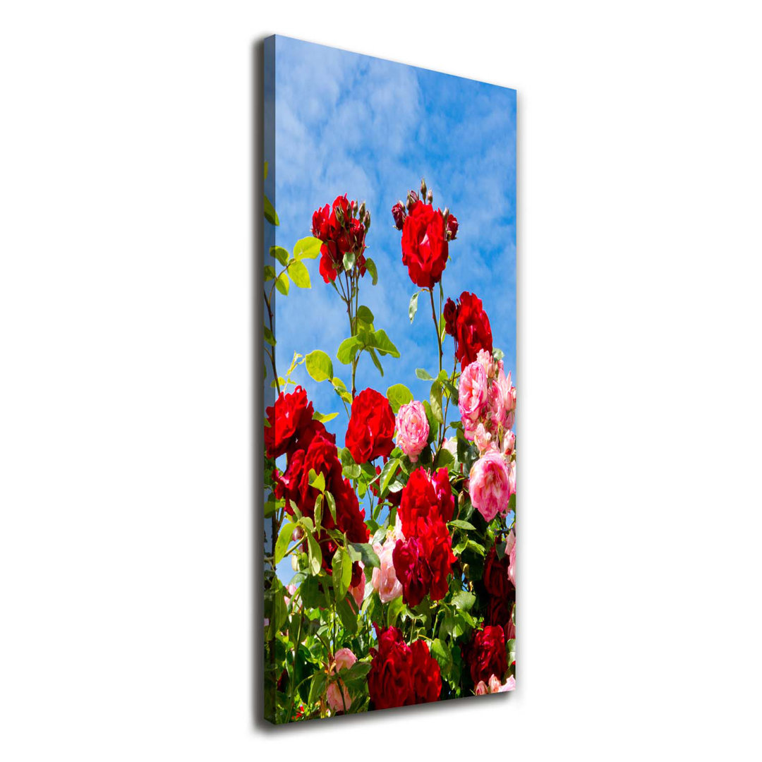 Wild Rose - Kunstdrucke auf Leinwand - Wrapped Canvas