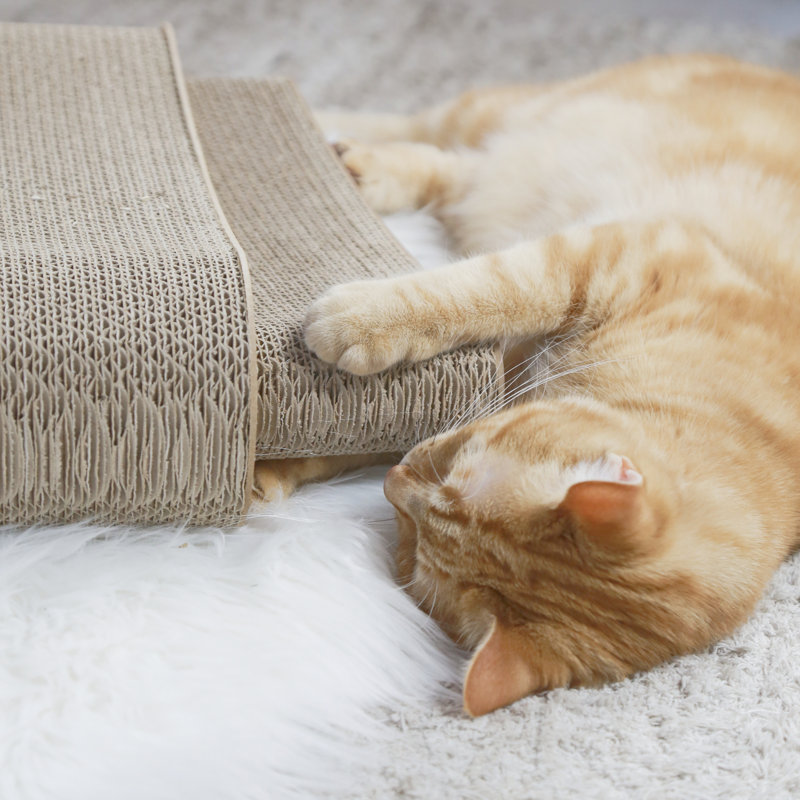Grattoir pour chat Scroggins Ipet