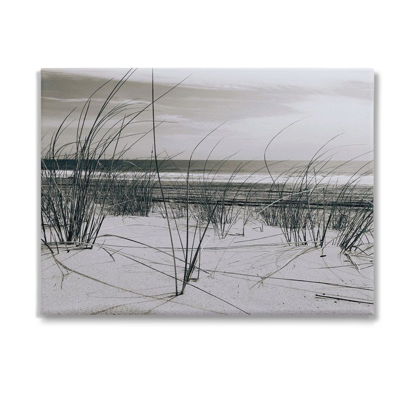 «Subtle Beach Reeds» sur, H 30 po x l 40 po