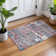 Machine Washable Indoor/Outdoor Molewski ACN2349 Abstract Rug
