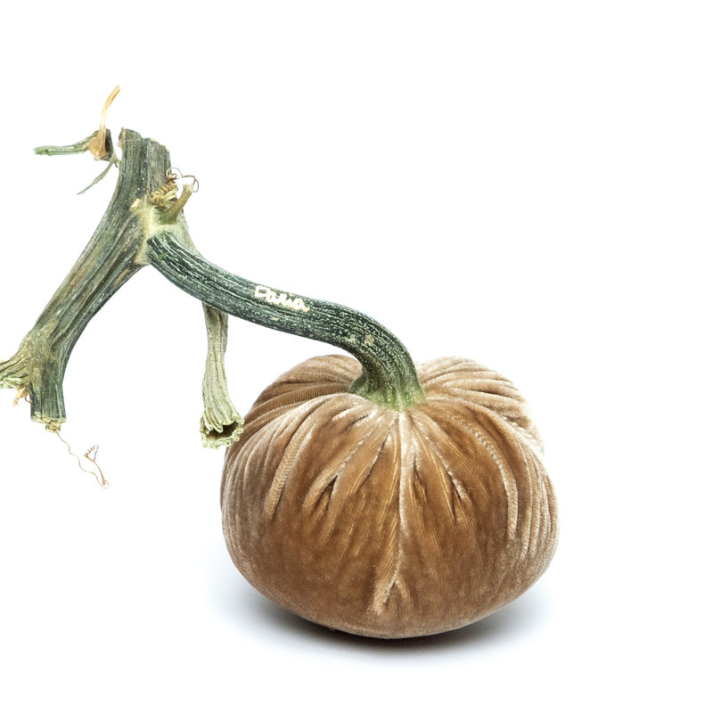 Mocha Silk Velvet Pumpkin, 4'' H X 2.5'' W X 2.5'' D