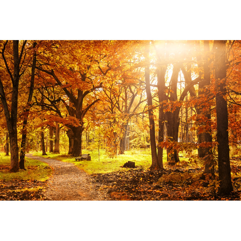 Old Wooden Bench In The Autumn Park - Wrapped Canvas Print, 30cm H x 46cm W x 3.8cm D