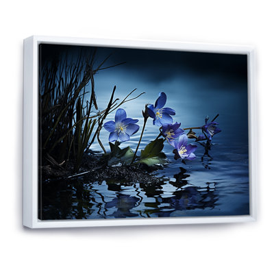 " Violets Charm In Winter "