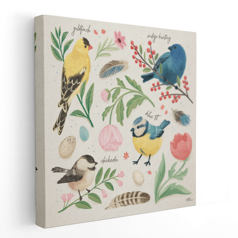 Bird Study II - reproduction d'art sur toile, H 24 po x l 24 po