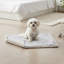 Couvertures pour chien