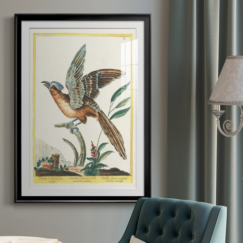 Pastel Birds IV - reproduction de cadre photo, Noir, H 24,5 po x l 18,5 po x P 1 po
