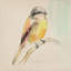 Pretty Little Bird IV Print by Michelle Bennett-26706015-26706016