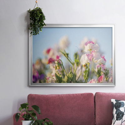 «Spring Petals», reproduction sur toile