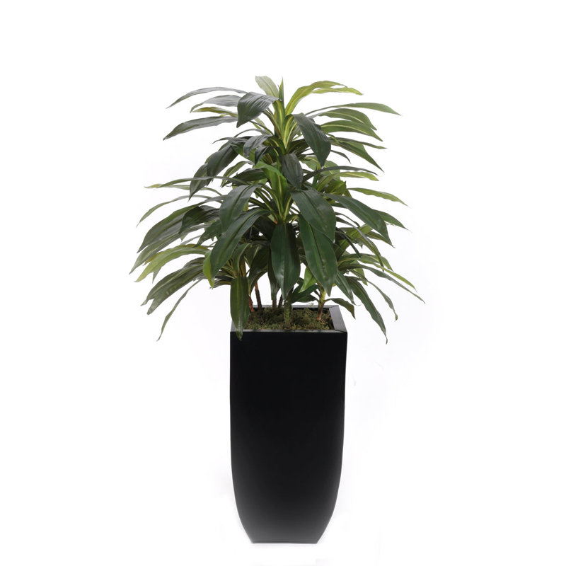 4'H Artifical Dracaena Plant In Black Tin Planter