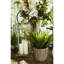 Searle Glass Tabletop Lantern-2099828509