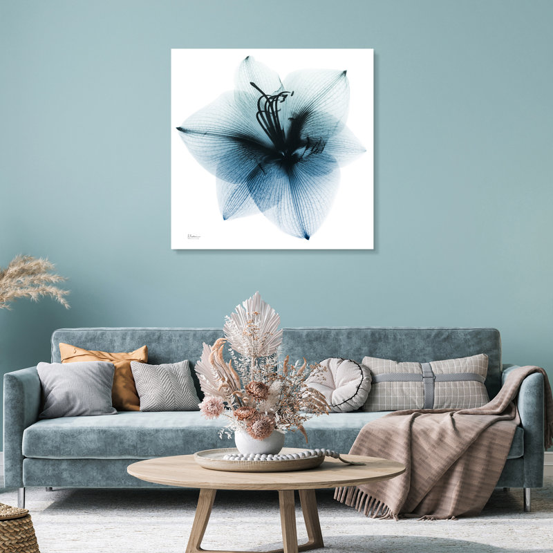 «Glacial Amaryllis» par Albert Koetsier - reproduction de photo sans cadre sur verre