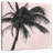 Harnek Gray Palm On Pink II-109396855
