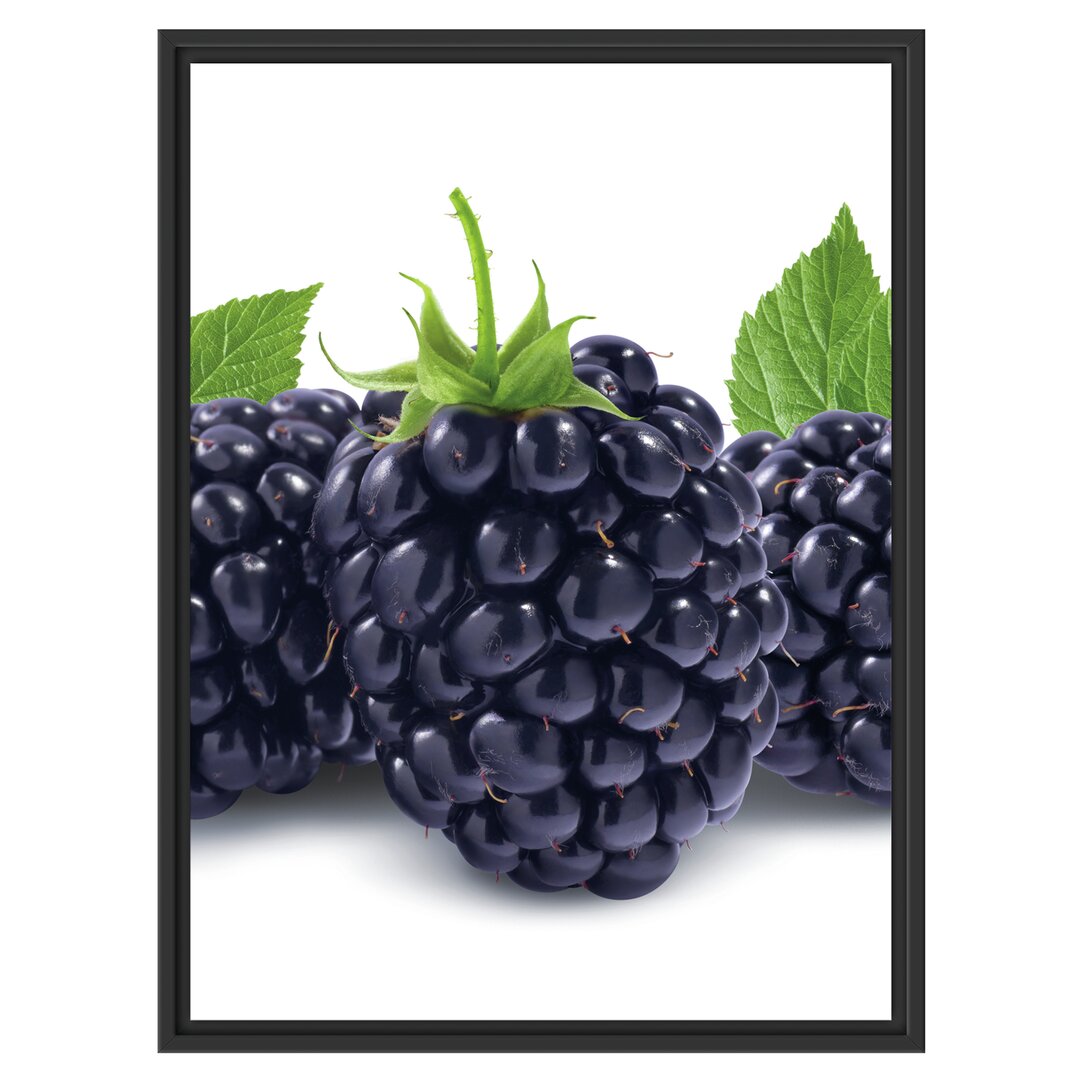 Gerahmtes Wandbild Leckere Brombeeren