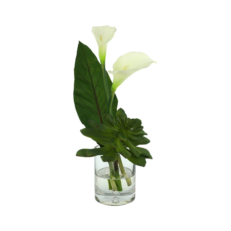 Succulent and Calla Lilies Arranged in Glass Vase