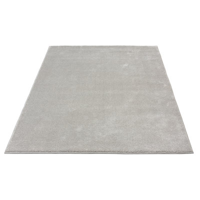 Teppich Havanah in Silber