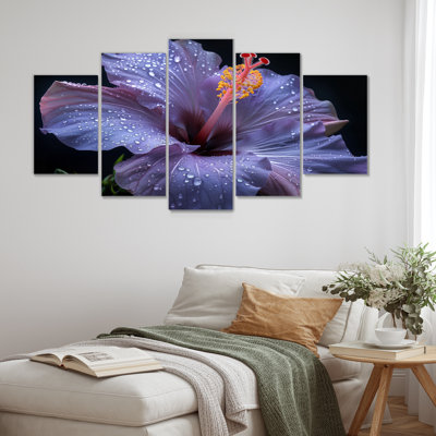 Hibiscus mauve et rose