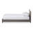 Caylinn Upholstered Platform Bed-431023549-452048169
