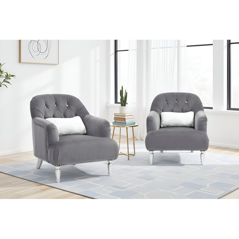 Ensemble de 2 chaises en velours bleu barcelos, Velours gris velours