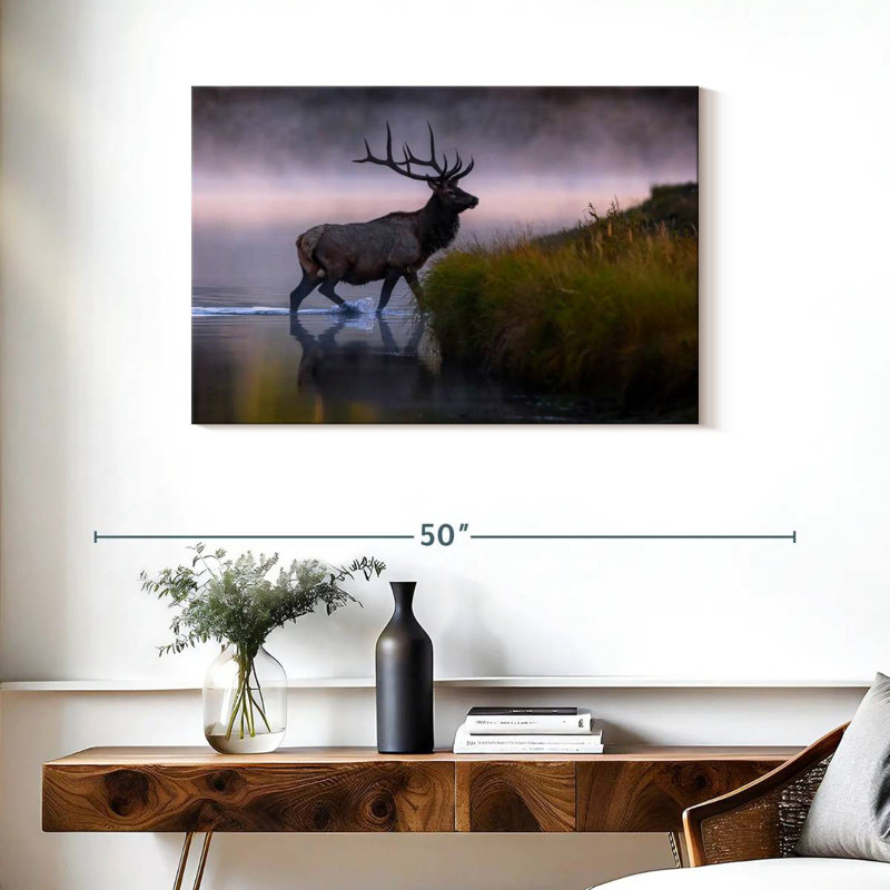 Wapiti dans l'eau, H 24 po x l 36 po