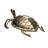 Curious Sea Turtle - Aluminum