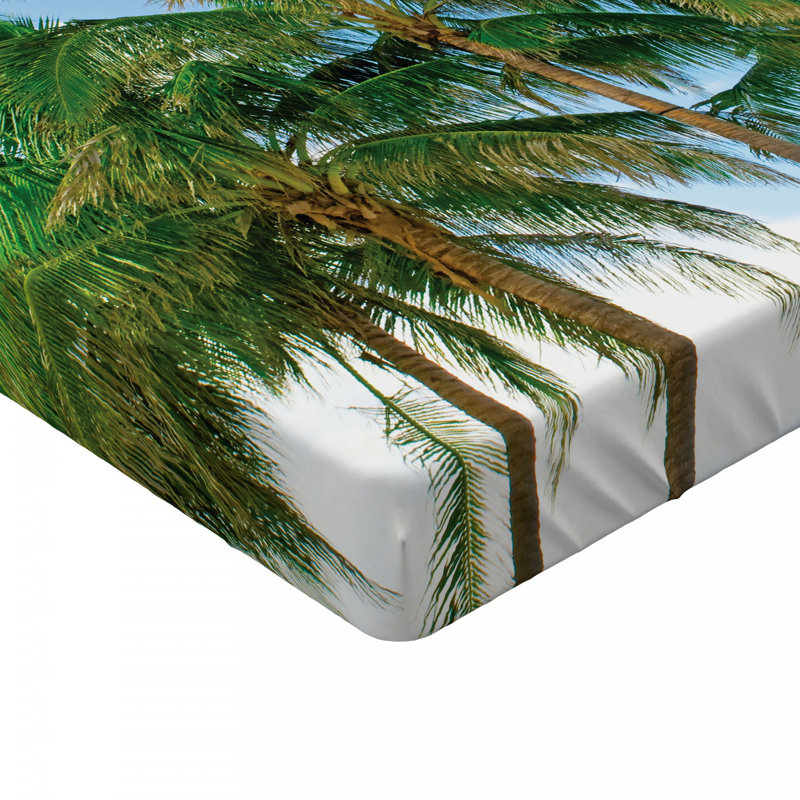 Drap-housse tropical, Drap-housse simple TG