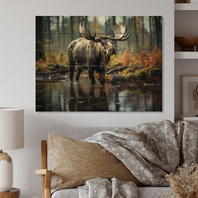 " Brown Yellow Moose Canada "
